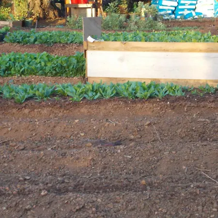 Дом отдыха Casa Fonte