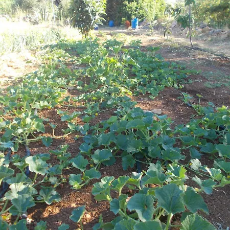 Ferienhaus Casa Fonte *