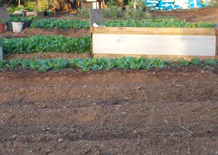 Сasa de vacaciones Casa Fonte